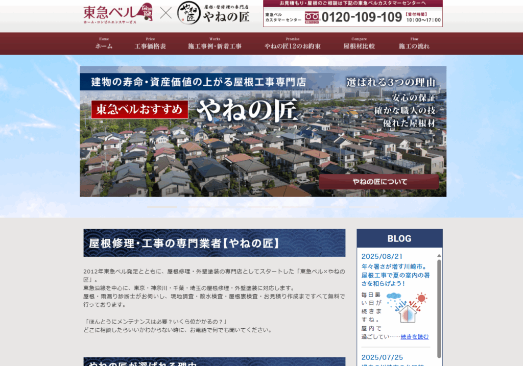 雨漏りレスキュー