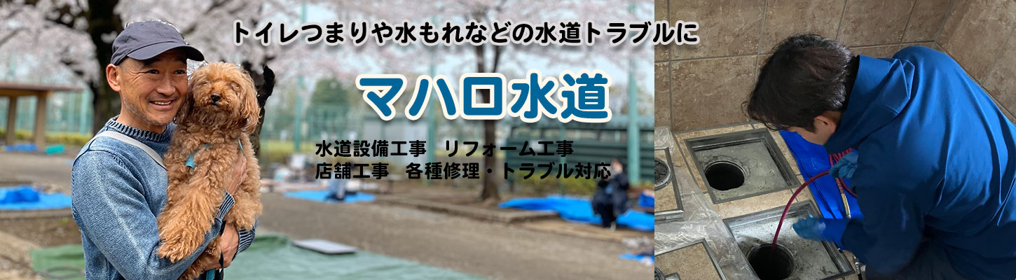 東京都世田谷区赤堤2-31-3