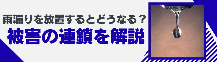 雨漏りを放置するとどうなる？被害の連鎖を解説