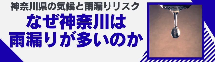 神奈川県の気候と雨漏りリスク なぜ神奈川は雨漏りが多いのか