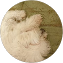 伊藤清美（きよまる） profile picture