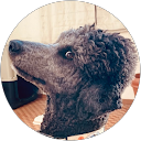 宮崎直樹 profile picture