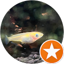 Single Mikan profile picture