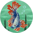 柳陽介 profile picture