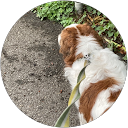 カイきゅんママ profile picture