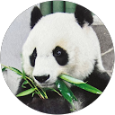 ららら profile picture