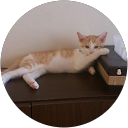 yuko a profile picture