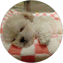 はる profile picture