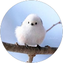 やよい profile picture