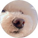 兒玉みな子 profile picture