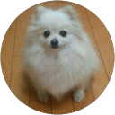 バニラ profile picture