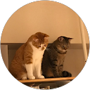 サラミ profile picture