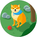 Coin Haruto profile picture