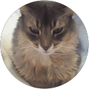 yoshi yamazaki profile picture