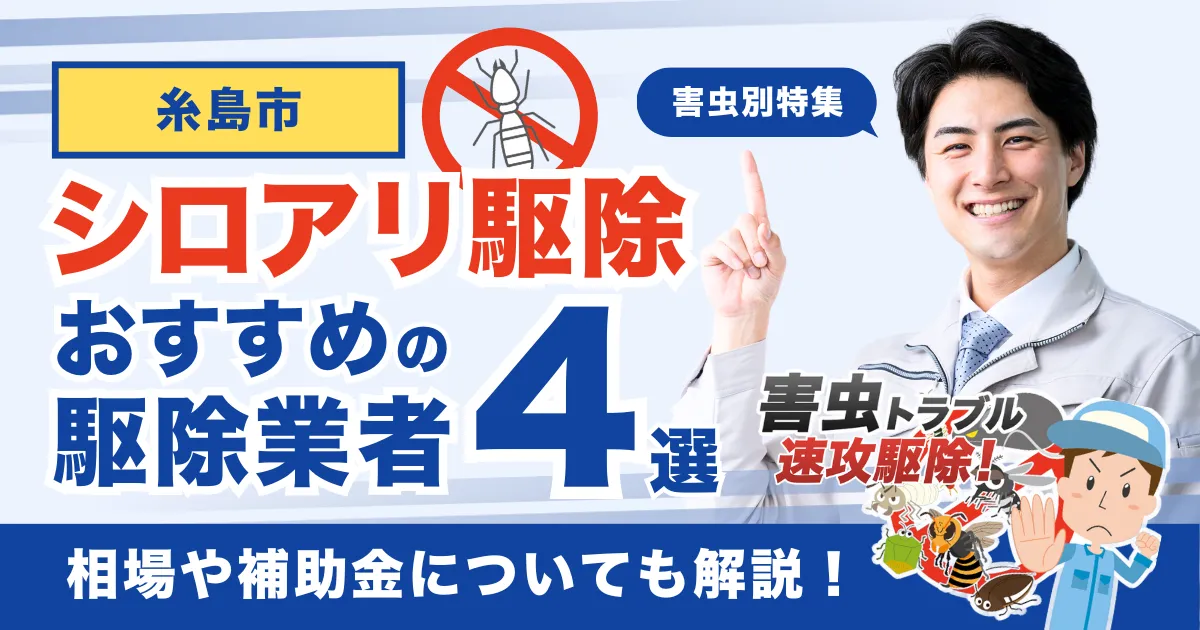 糸島市のシロアリ駆除業者おすすめ4選！相場や補助金についても解説！