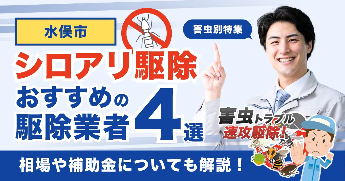 水俣市のシロアリ駆除業者おすすめ4選！相場や補助金についても解説！