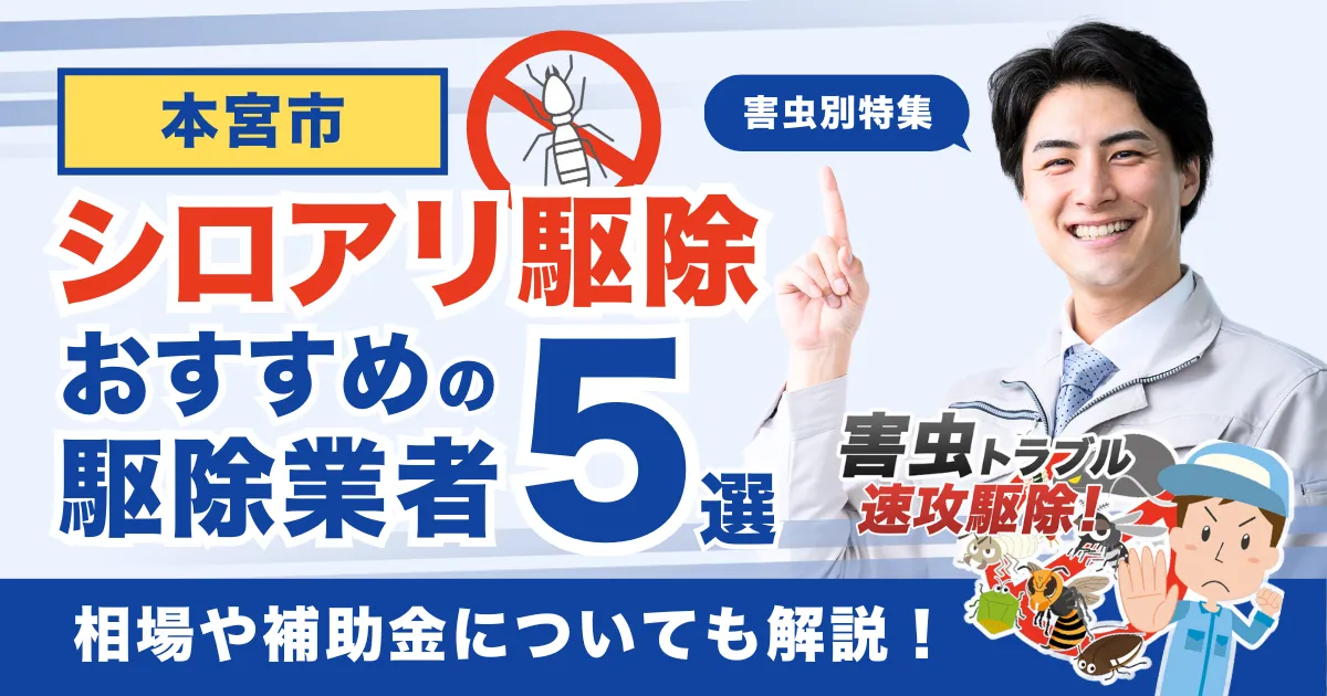 本宮市のシロアリ駆除業者おすすめ5選！相場や補助金についても解説！