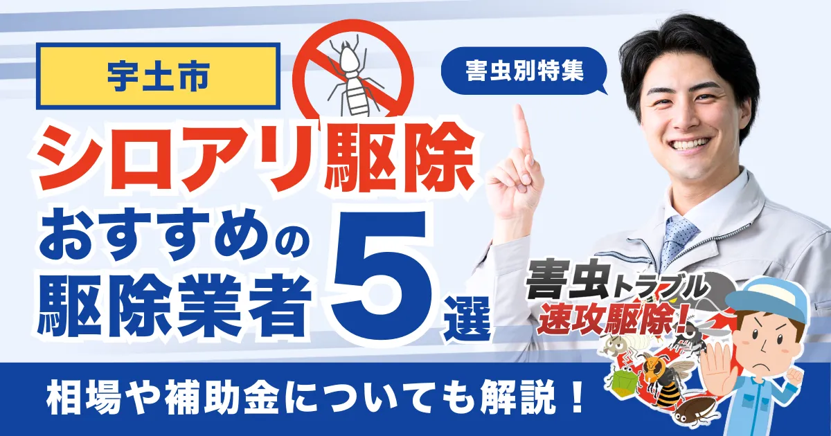 宇土市のシロアリ駆除業者おすすめ5選！相場や補助金についても解説！