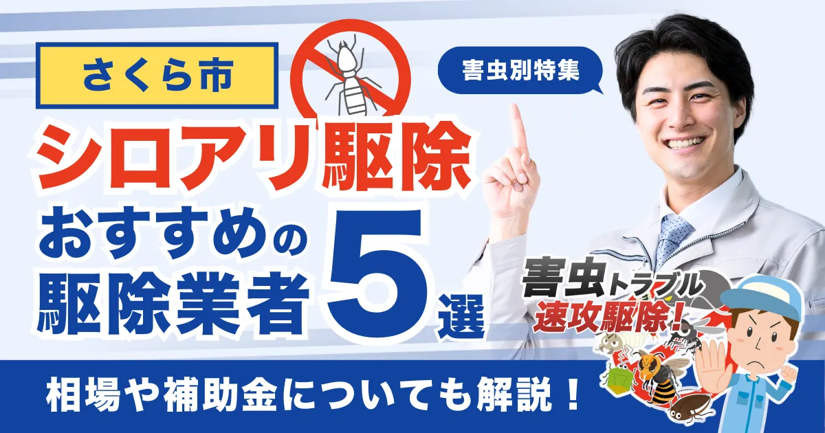 さくら市のシロアリ駆除業者おすすめ5選！相場や補助金についても解説！