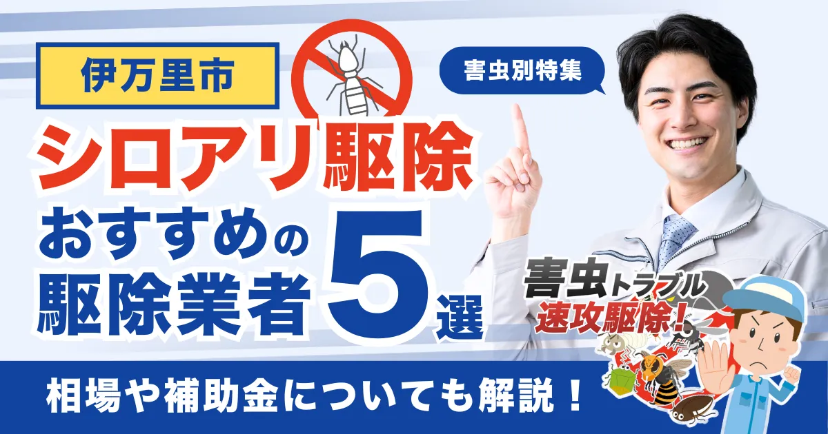 伊万里市のシロアリ駆除業者おすすめ5選！相場や補助金についても解説！