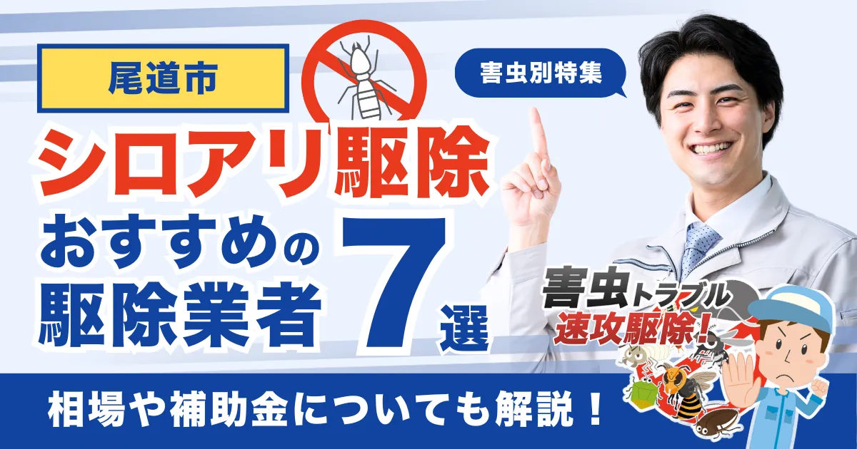 尾道市のシロアリ駆除業者おすすめ7選！相場や補助金についても解説！