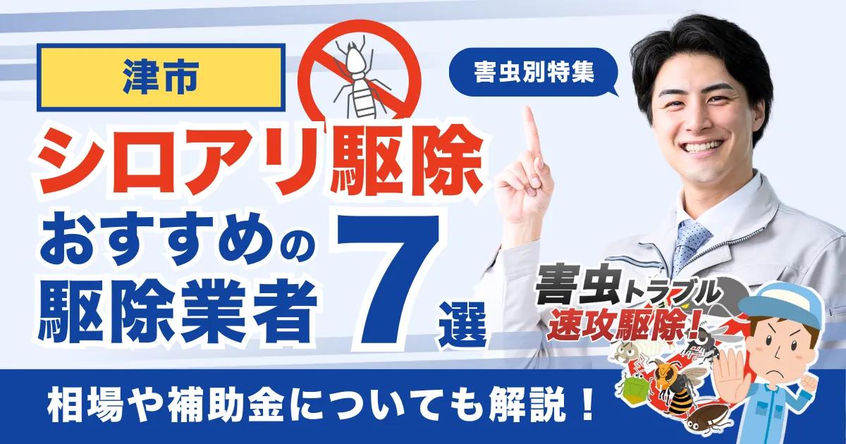 津市のシロアリ駆除業者おすすめ7選！相場や補助金についても解説！