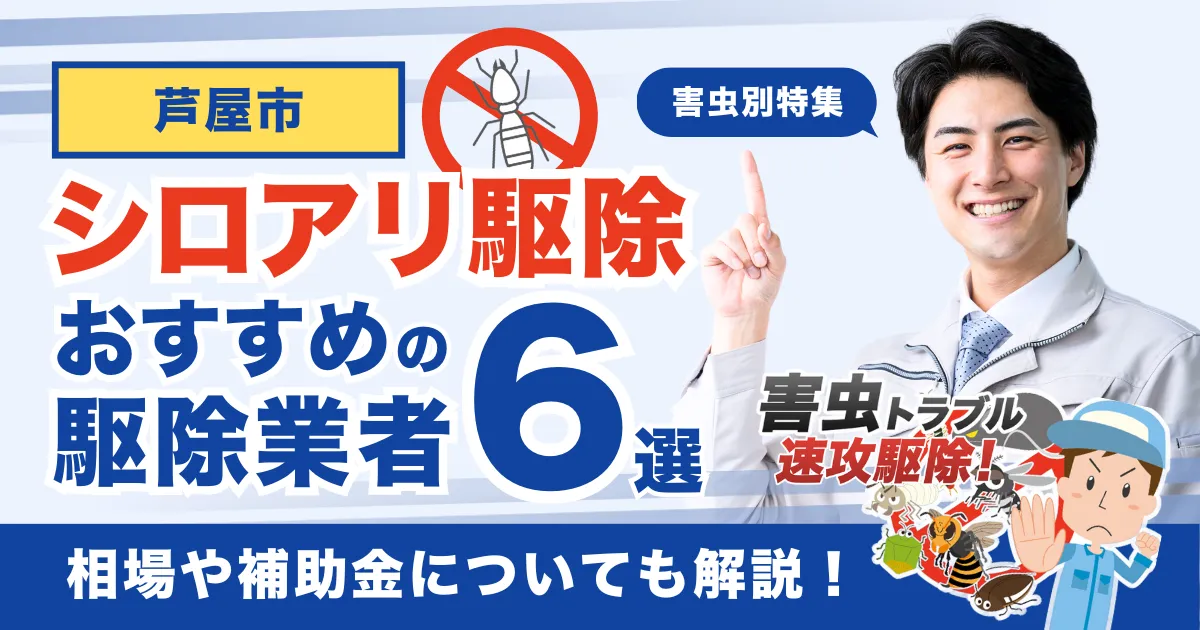 芦屋市のシロアリ駆除業者おすすめ6選!相場や補助金についても解説!
