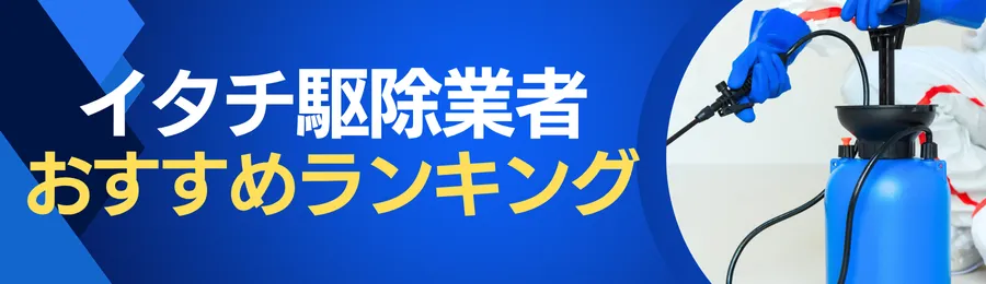 おすすめのイタチ駆除業者ランキング
