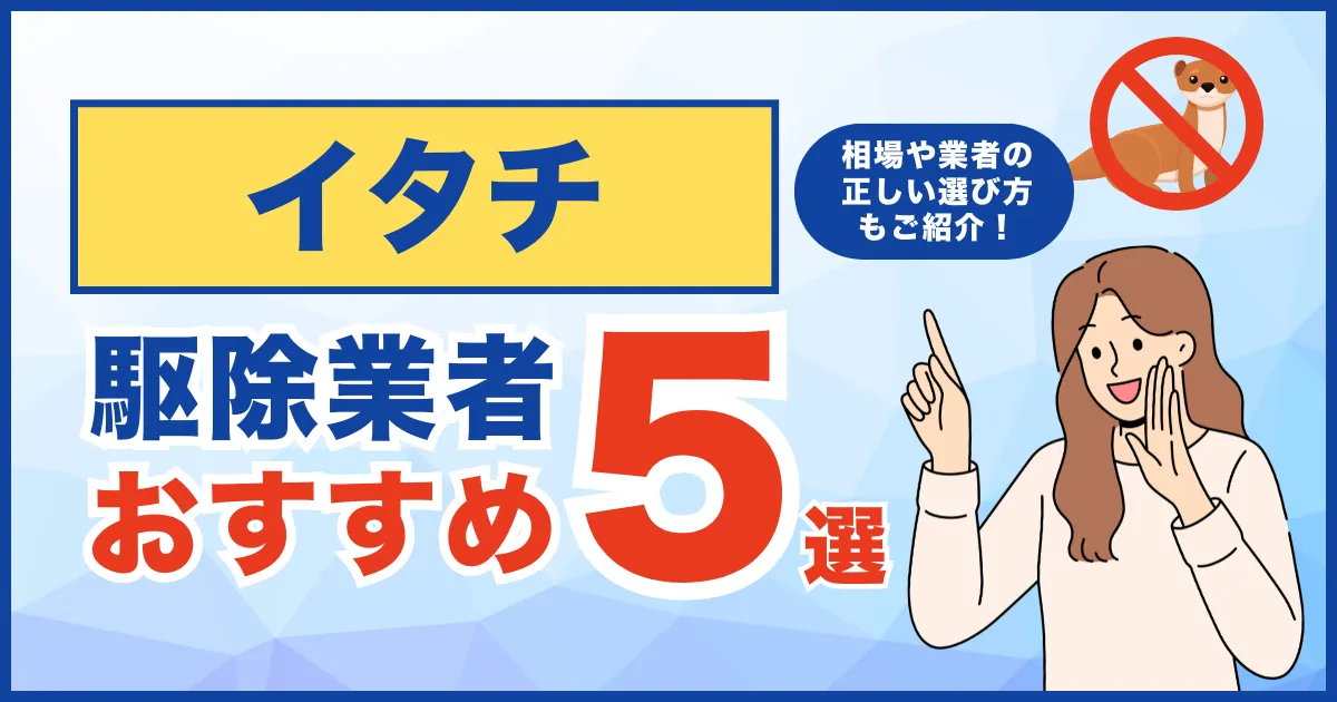 おすすめのイタチ駆除業者5選!費用相場・サービス・再発保証について徹底比較!